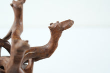 Load image into Gallery viewer, Carved Interlocking Camel Candle / Plant Holder
