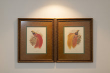 Load image into Gallery viewer, Pair of John Richard Framed Bird of Paradise Prints
