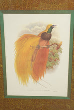 Load image into Gallery viewer, Pair of John Richard Framed Bird of Paradise Prints
