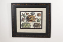 Load image into Gallery viewer, Turtles John Richard 36&quot; x 33&quot;
