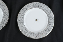 Load image into Gallery viewer, Kate Spade New York June Lane Lenox China Service for 12 Platinum Complete Set USA
