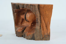 Load image into Gallery viewer, Hand-Carved Kiwi Bird Relief Sculpture in New Zealand Kauri Wood
