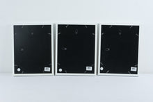 Load image into Gallery viewer, Skeleton Key Wall Art Set of 3 Burlap Shadow Box Frames
