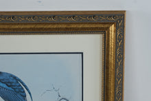 Load image into Gallery viewer, Henry Jones Racquet Tailed Kingfisher Bird Art Print Framed 14 x 17

