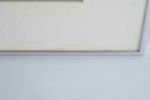 Load image into Gallery viewer, Jacques Dolle Les Palmipedes Limited Edition Lithograph Signed Numbered Framed
