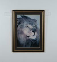 Load image into Gallery viewer, Large Framed Lion Portrait Wall Art – Majestic Wildlife Print in Black &amp; Gold Frame – 31.25 x 41.5
