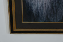 Load image into Gallery viewer, Large Framed Lion Portrait Wall Art – Majestic Wildlife Print in Black &amp; Gold Frame – 31.25 x 41.5

