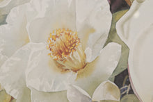 Load image into Gallery viewer, Magnolia - Darryl Trott - 40&quot; x 31&quot;
