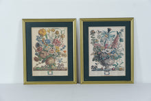 Load image into Gallery viewer, Pair of Vintage Botanical Prints – The Twelve Months of Flowers (March &amp; December) after Robert Furber, 1730 (18&quot; x 22&quot;)
