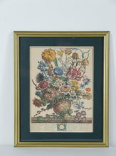 Load image into Gallery viewer, Pair of Vintage Botanical Prints – The Twelve Months of Flowers (March &amp; December) after Robert Furber, 1730 (18&quot; x 22&quot;)
