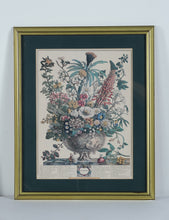 Load image into Gallery viewer, Pair of Vintage Botanical Prints – The Twelve Months of Flowers (March &amp; December) after Robert Furber, 1730 (18&quot; x 22&quot;)
