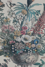 Load image into Gallery viewer, Pair of Vintage Botanical Prints – The Twelve Months of Flowers (March &amp; December) after Robert Furber, 1730 (18&quot; x 22&quot;)
