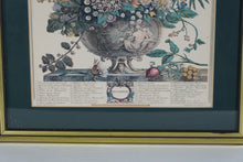 Load image into Gallery viewer, Pair of Vintage Botanical Prints – The Twelve Months of Flowers (March &amp; December) after Robert Furber, 1730 (18&quot; x 22&quot;)
