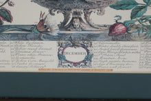 Load image into Gallery viewer, Pair of Vintage Botanical Prints – The Twelve Months of Flowers (March &amp; December) after Robert Furber, 1730 (18&quot; x 22&quot;)
