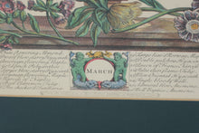 Load image into Gallery viewer, Pair of Vintage Botanical Prints – The Twelve Months of Flowers (March &amp; December) after Robert Furber, 1730 (18&quot; x 22&quot;)

