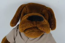 Load image into Gallery viewer, Vintage McGruff the Crime Dog Plush – 1980s Dakin Stuffed Animal in Trench Coat
