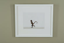 Load image into Gallery viewer, Sharon Montrose “Baby Monkey No. 2” Photographic Print – Framed Animal Art, 16 x 14

