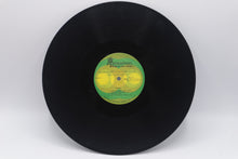 Load image into Gallery viewer, Willie Nelson David Allan Coe Willie And David LP Plantation PLP 41
