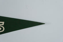 Load image into Gallery viewer, 1967 New York Jets NFL Football Felt Pennant 12 x 30
