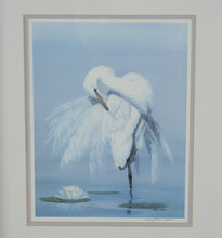 Load image into Gallery viewer, Limited Edition Signed Bird Art Print by Nancy Zitterrain | White Egret &amp; Lily | Framed Wildlife Print | 21” x 25”
