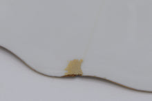 Load image into Gallery viewer, Hand Painted Porcelain Nut Plate with Gilded Scalloped Rim – Signed

