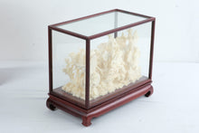 Load image into Gallery viewer, Chinese Carved Bone Landscape Diorama in Glass Display Case with Storage Box
