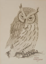 Load image into Gallery viewer, Charles G McLaurin Owl Etching Limited Print 1977 Framed North Carolina Artist
