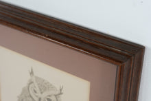 Load image into Gallery viewer, Charles G McLaurin Owl Etching Limited Print 1977 Framed North Carolina Artist
