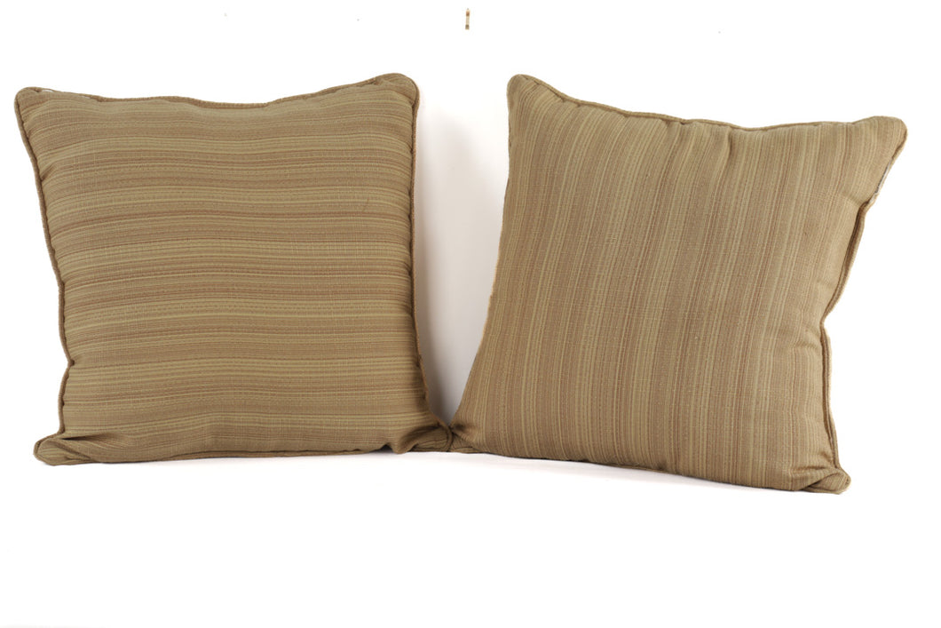 Pair of Golden Pillows