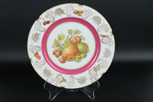 Load image into Gallery viewer, Set of 10 Winterling Germany 10&quot; Fruit Plates – Mixed Motif – Pink &amp; Gold Rim Porcelain
