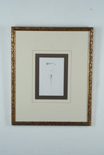 Load image into Gallery viewer, “Pelecinus” Framed Natural History Engraving Print – After T.R. Peale – 17.25&quot; x 21.25&quot;
