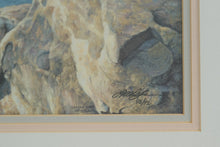 Load image into Gallery viewer, Larry Dyke Perfect Peace 1989 Signed Limited Edition Waterfall Print 45 TL
