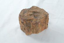 Load image into Gallery viewer, Natural Petrified Wood Fossil Log Section Display Specimen 4 Inch
