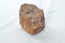 Load image into Gallery viewer, Natural Petrified Wood Fossil Log Section Display Specimen 4 Inch
