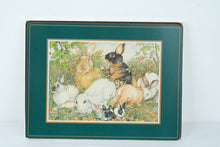 Load image into Gallery viewer, Pimpernel Rabbits Placemats Set of 4 Cork Backed England 16 x 12

