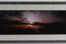 Load image into Gallery viewer, “Prairie Morning” Signed Panoramic Photograph by Thomas D. Mangelsen

