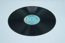 Load image into Gallery viewer, Ray Stevens: Everything is Beautiful Vinyl Record
