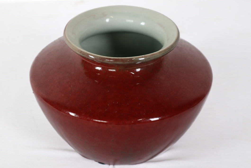 Red Cracked Porcelain Vase