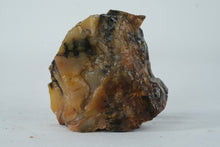 Load image into Gallery viewer, Natural Jasper Stone Specimen Polished Rough Display Mineral 3.5 Inch
