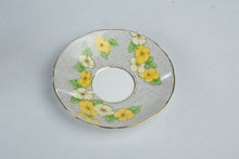 Load image into Gallery viewer, Salisbury Carnival 1950s Vintage English Bone China Teacup and Saucer

