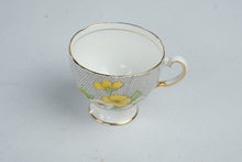 Load image into Gallery viewer, Salisbury Carnival 1950s Vintage English Bone China Teacup and Saucer
