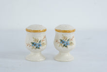 Load image into Gallery viewer, Mikasa Garden Club Day Dreams Salt and Pepper Shakers EC461 Japan Vintage
