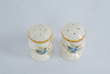 Load image into Gallery viewer, Mikasa Garden Club Day Dreams Salt and Pepper Shakers EC461 Japan Vintage
