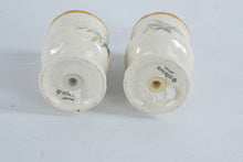 Load image into Gallery viewer, Mikasa Garden Club Day Dreams Salt and Pepper Shakers EC461 Japan Vintage
