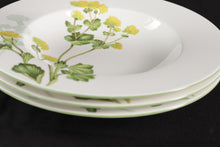 Load image into Gallery viewer, Set of 4 Althea Nova Large Rim Soup Bowls by Villeroy &amp; Boch
