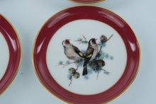Load image into Gallery viewer, Set of 4 Miniature Bird Plates – Kaiser W. Germany Porcelain, 4” Burgundy &amp; Gold Rim
