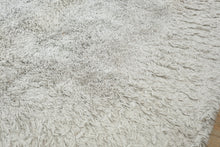 Load image into Gallery viewer, Large Shag Area Rug 9 x 12 Light Gray Plush High Pile Modern Neutral
