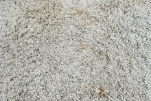 Load image into Gallery viewer, Large Shag Area Rug 9 x 12 Light Gray Plush High Pile Modern Neutral
