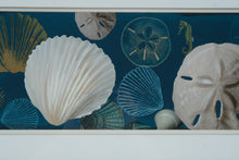 Load image into Gallery viewer, Framed Seashell Sand Dollar Seahorse Coastal Wall Art Teal Silver Frame
