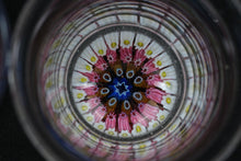 Load image into Gallery viewer, Pair Art Glass Shot Glasses Millefiori Cane Base Hand Blown 2.5 Inch
